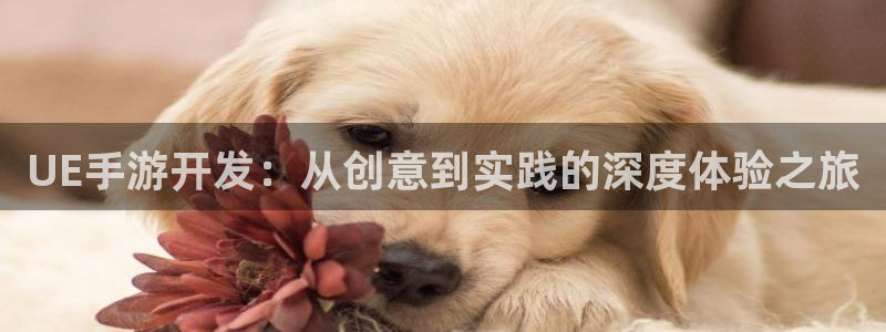 三牛娱乐负责人：UE手游开发：从创意到实践的深度体验之旅