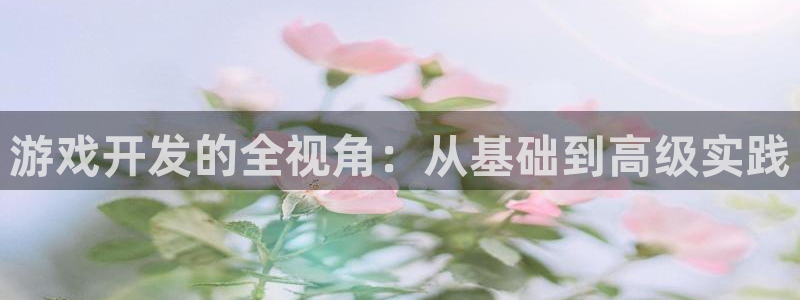 三牛娱乐是网络诈骗平台吗：游戏开发的全视角：从基础到高级实践