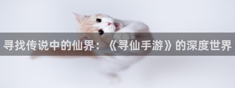 三牛娱乐挂机：寻找传说中的仙界：《寻仙手游》的深度世界
