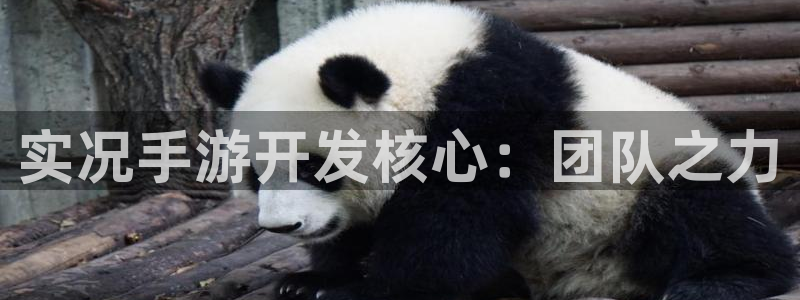 三牛娱乐官网登录入口下载苹果：实况手游开发核心：团队之力