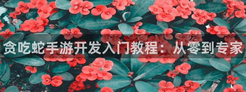 三牛娱乐测速系统：贪吃蛇手游开发入门教程：从零到专家