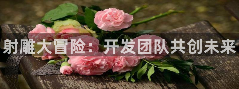 三牛娱乐挂机软件下载：射雕大冒险：开发团队共创未来