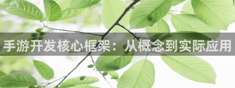 三牛娱乐如何注册：手游开发核心框架：从概念到实际应用