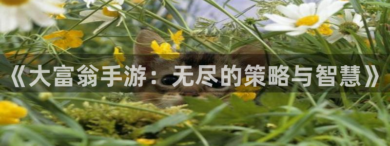 三牛娱乐负责人：《大富翁手游：无尽的策略与智慧》