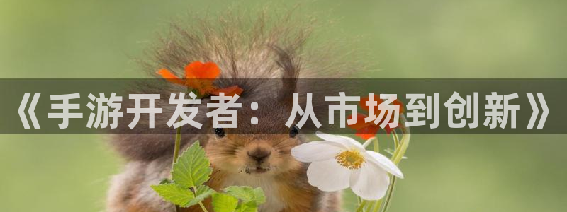 三牛平台娱乐：《手游开发者：从市场到创新》
