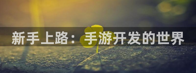 江苏三牛：新手上路：手游开发的世界