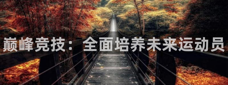 betway西汉姆：巅峰竞技：全面培养未来运动员