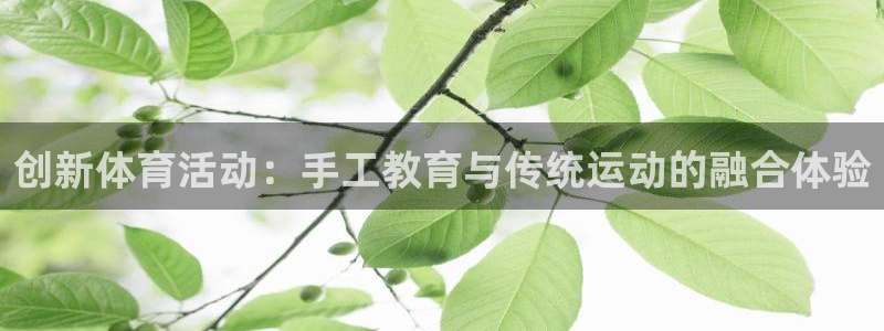 betway西汉姆官网：创新体育活动：手工教育与传统运动的融合体验