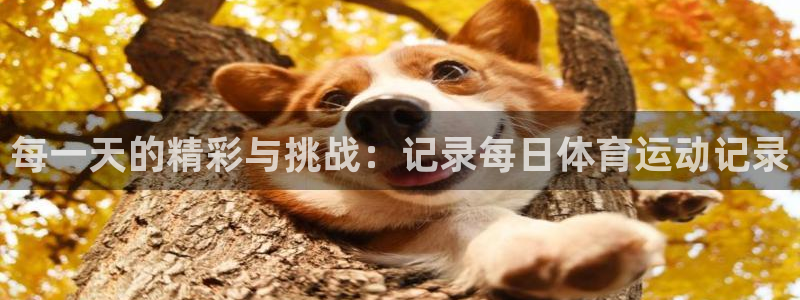 betway西汉姆官网：每一天的精彩与挑战：记录每日体育运动记录
