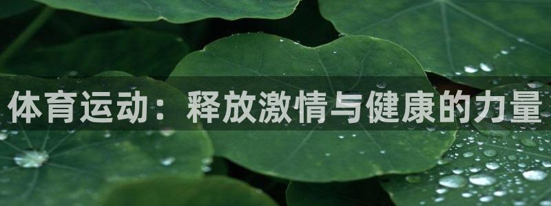 betway西汉姆