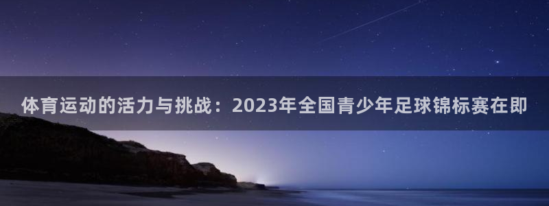 betway西汉姆：体育运动的活力与挑战：2023年全国青少年足球锦标赛在即