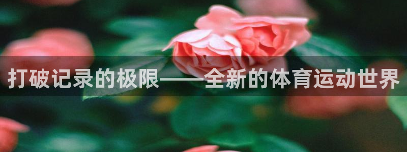 betway西汉姆联官网：打破记录的极限——全新的体育运动世界