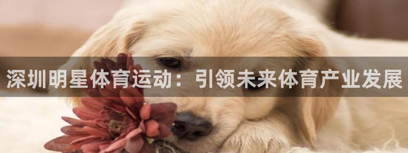 betway西汉姆官网：深圳明星体育运动：引领未来体育产业发展