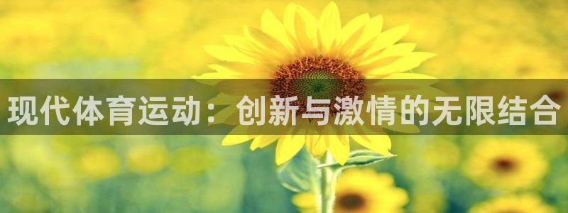 betway西汉姆：现代体育运动：创新与激情的无限结合