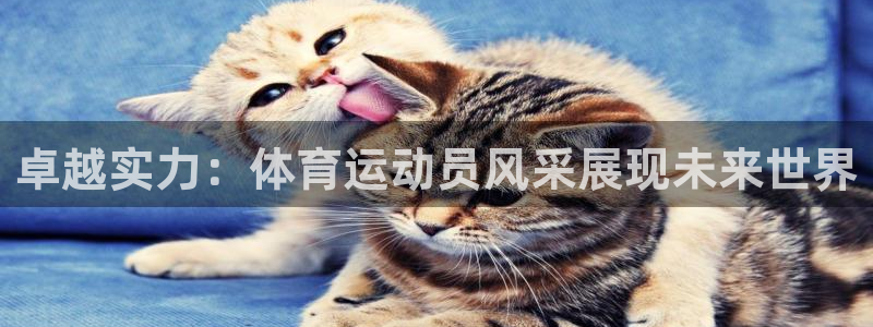 betway西汉姆官网：卓越实力：体育运动员风采展现未来世界